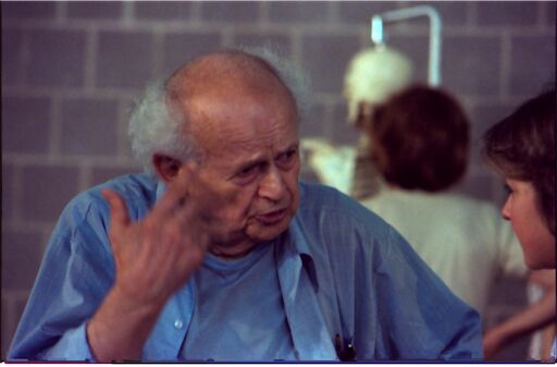 Moshé Feldenkrais im Gespräch (Amherst, 1980) Moshé Feldenkrais im Gespräch (Amherst, 1980)